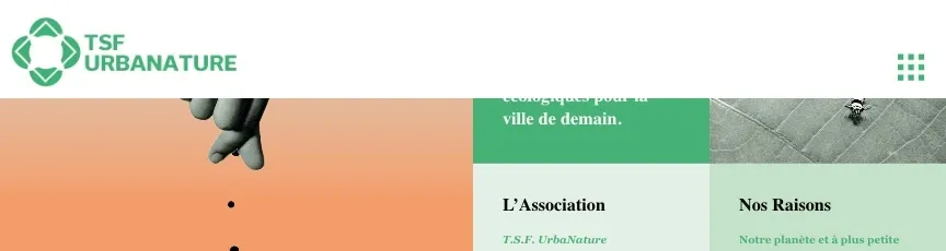 Old header: the TSF logo and a grid icon, nothing else, above the first tiles.